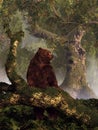 The Grizzly`s Forest