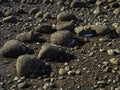 Icelandic rounded stones
