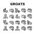 Groats Natural Food Collection Icons Set Vector