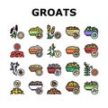 Groats Natural Food Collection Icons Set Vector