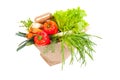 Grocery bag full of fresh vegetables Royalty Free Stock Photo