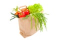 Grocery bag full of fresh vegetables Royalty Free Stock Photo