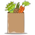 Grocery Bag with Healthy Vegetables Royalty Free Stock Photo