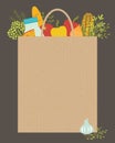 Grocery bag Royalty Free Stock Photo