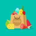 Grocery bag vector illustration , paper packet of groceries