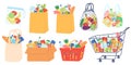 Grocery bags and carts. Shopping basket, paper and plastic packages, eco bag with organic food. Supermarket goods and