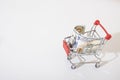 grocery cart and car keys, car buying Royalty Free Stock Photo