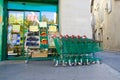 Grocery carts Royalty Free Stock Photo