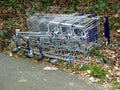 Grocery carts fallen and laying on the ground. The concept of empty supermarkets, drop in sales, close up of supermarket branches