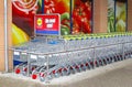 Grocery carts of the Lidl discount supermarket store, Netherlands