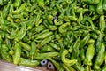 Grocery department,green pepper fresh for sale,large quantity