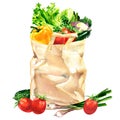 Grocery paper bag with assorted fresh vegetables products, organic healthy market food, closeup, vegetarian concept