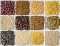 Grocery set: barley grits, vermicelli, rice, sunflower seeds, bay leafs, buckwheat, roasted coffee beans, pearl barley, figured Royalty Free Stock Photo