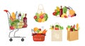 Grocery sets. Paper bag with food, fruit and vegetables in eco bag, reusable mesh eco bag, shopping trolley cart.