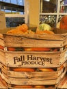 Grocery store Fall harvest pumpkins and decor display Royalty Free Stock Photo