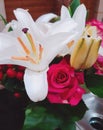 Roses lilies flowers pink boucket