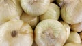 Grocery store fresh produce Vidalia sweet onions in a bunch on display Royalty Free Stock Photo