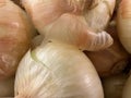 Food backgrounds Grocery store produce department yellow onions close up Royalty Free Stock Photo