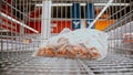 Grocery trolley in the supermarket - buying shrimps Royalty Free Stock Photo