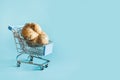 Grocery trolley with ugly potato. Space for text