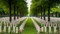 Groesbeek Canadian War Cemetery is a WWII military cemetery in the Netherland. Concept History,