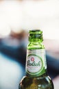 Grolsch beer bottle in a bar Royalty Free Stock Photo