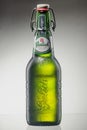 Grolsch premium lager beer isolated on gradient background.