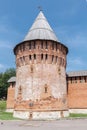 Gromovaya tower Royalty Free Stock Photo