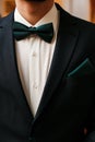 Groom black suit with a bow tie Royalty Free Stock Photo