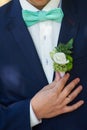 Groom boutonniere adjusts his hand in a jacket pocket Royalty Free Stock Photo