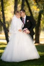 groom and the bride in autumn park walk near trees with yellow leaves Royalty Free Stock Photo