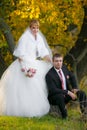 Groom and the bride in autumn park walk near trees with yellow leaves Royalty Free Stock Photo