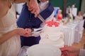 Groom and bride cutting the wedding cake Royalty Free Stock Photo