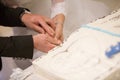 Groom and bride cutting the wedding cake Royalty Free Stock Photo