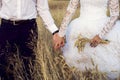 The groom and the bride hold hands. On fingers wedding rings. Royalty Free Stock Photo