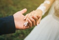 Groom and bride are holding hands. Happy wedding couple photo. Romantic photoshoot. White dress with long sleeves. Lace veil Royalty Free Stock Photo