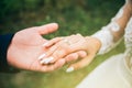 Groom and bride are holding hands. Happy wedding couple photo. Romantic photoshoot. White dress with long sleeves. Lace veil Royalty Free Stock Photo