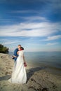 The groom and the bride are kissing on a beach Royalty Free Stock Photo