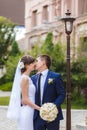 Groom, bride kissing stay Royalty Free Stock Photo