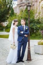 Groom, bride kissing stay Royalty Free Stock Photo