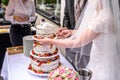 Groom and bride marriage Cutting the delicious fruity Wedding Cake together colorful fruits Royalty Free Stock Photo