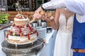 Groom and bride marriage Cutting the delicious fruity Wedding Cake together colorful fruits Royalty Free Stock Photo