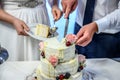 Groom and bride marriage Cutting the delicious fruity Wedding Cake together colorful fruits Royalty Free Stock Photo