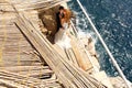 Groom and bride near the sea Royalty Free Stock Photo