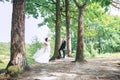 Groom and bride together. Wedding romantic couple outdoor Royalty Free Stock Photo