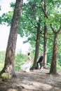 Groom and bride together. Wedding romantic couple outdoor Royalty Free Stock Photo