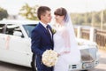 Groom, bride wedding car Royalty Free Stock Photo