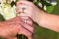 Groom and bride wedding rings Royalty Free Stock Photo