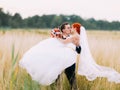 Groom carrying and kissing his bride in the sunny wheat field.