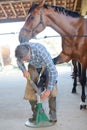 Groom cleaning horses feet